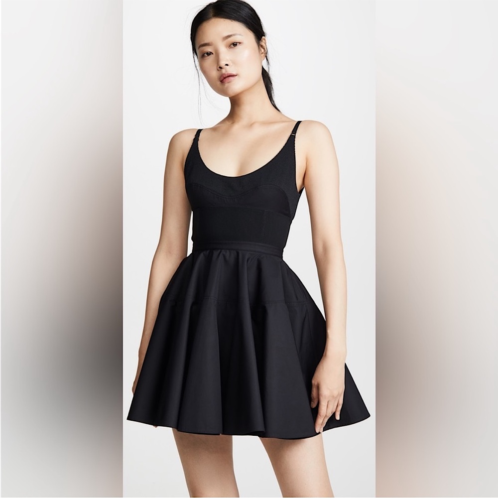 EUC ALEXANDER WANG Fit And Flare Mini Dress 2 $695